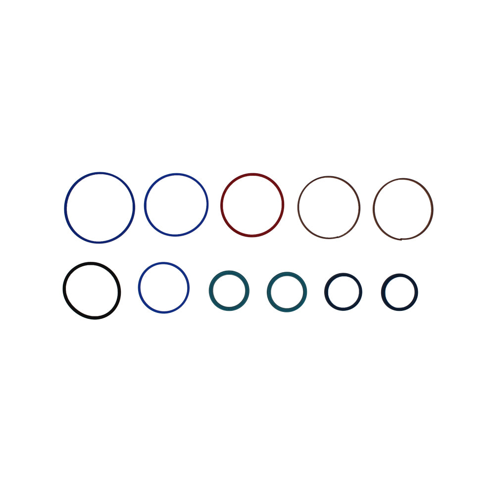 New Seal Kit 70021495 for Steering Cylinder Bore 3.93" Rod 1.96" fits JLG