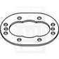 Hydraulic Pump Gear Plate Fits 190 190XT 190XTIII 200 210 220 70250351