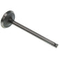 731151M1 Intake Valve Fits Massey Ferguson Tractors 35 50 202 203 204