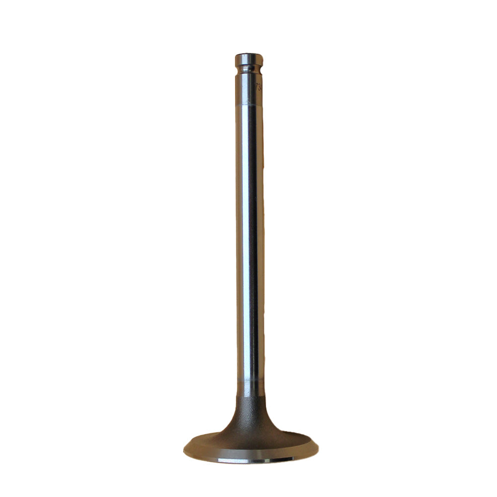 Intake Valve Fits Fiat Replaces 731151M1