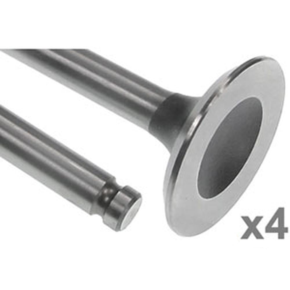 731152M1 - Exhaust Valve