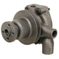 747542M91 Water Pump with Pulley Fits Massey Ferguson  35 50 202 203 204 205
