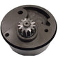 Power Steering Pump Fits Massey Ferguson Replaces 1695922M1