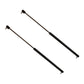 Qty 2: Rear Window Gas Strut
 Fits Fiat Replaces 81865239