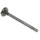 Intake Valve Fits Massey Ferguson Models