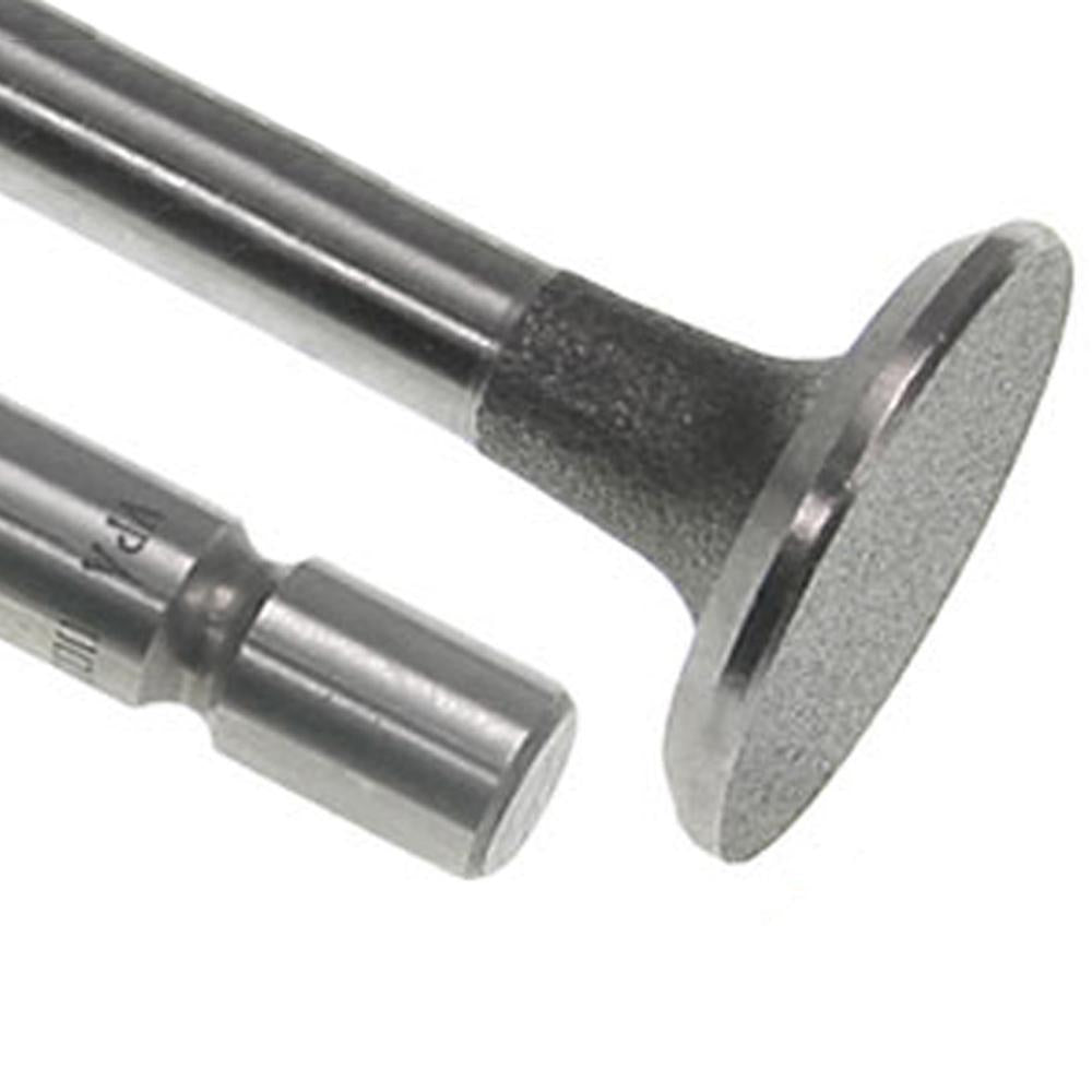 Intake Valve Fits Massey Ferguson Models