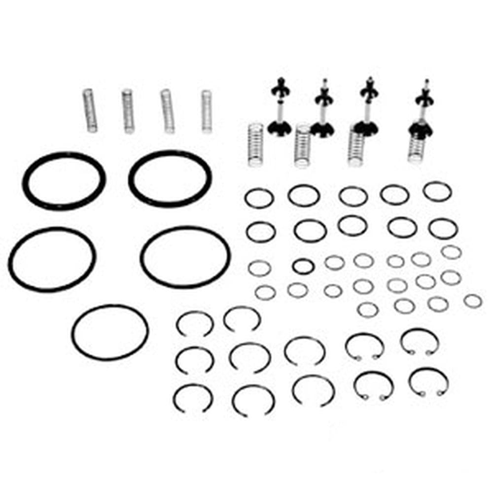 830997M91 Hydraulic Pump Chamber Valve Kit Fits Massey Ferguson 65 35 50 135