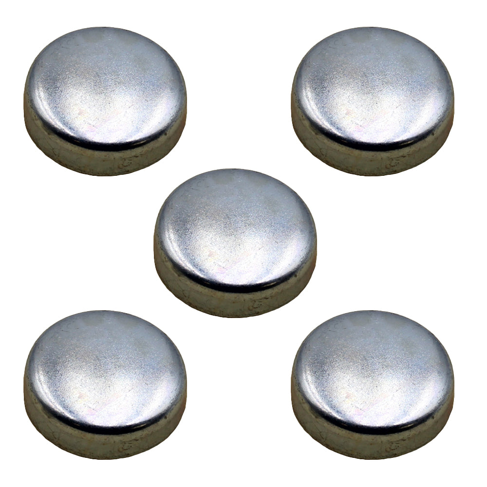 Cylinder Block Plug 83957021 (5 pk) Fits Ford New Holland 8400 Ts100 Ts110 TS80