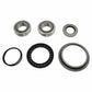 Axle Bearing Kit Fits New Holland L160 L170 L565 LS160 LS170 LX565 LX665 B93174