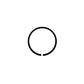 Hydraulic Piston Ring Fits Massey Ferguson Models 892604M1
