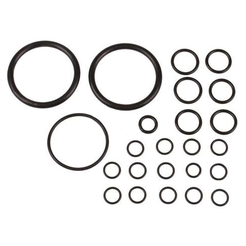 894906M91 Hydraulic Pump O-Ring Kit - Fits Massey Ferguson MF35 202 204
