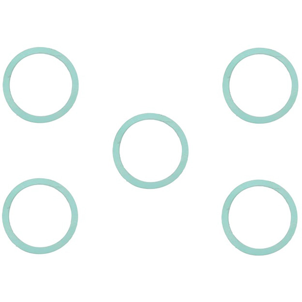 Qty 5: Hydraulic Pump Drain Gasket
 Fits Ford New Holland Replaces 81804570