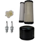 Filter Tune Up Kit w/ Spark Plugs Fits Spartan Replaces 11013-7019