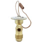 A-168903C1-AI Expansion Valve