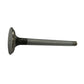 A-3118132R1-AI EXHAUST VALVE