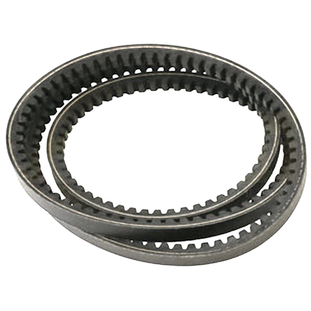 602762 HUSTLER BELT Made With Aramid