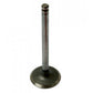 A-957E6507-AI Valve, Intake