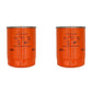 (2) Fuel Filters 16631-43560 HH166-43560 Fits Kubota M100GX M100X M105S M105X