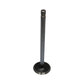A-R43679-AI Valve, Exhaust (Std)