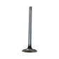 A-R43679-AI Valve, Exhaust (Std)