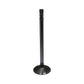 R43883 Intake Valve Fits John Deere 500 500A 500B 500C 510 600 644 644A