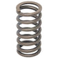 A-R504235-AI Spring; Intake/Exhaust Valve