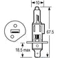 A-VLC0448-AI BULB - 12V 55W