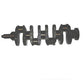 Crankshaft A144011 Fits Case Backhoe Loaders 580C 580D