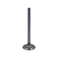 ACS5319-STR Intake Valve Fits Allis Chalmers WC WD WD45 WF