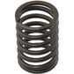 AM0780006 Valve Spring, Outer