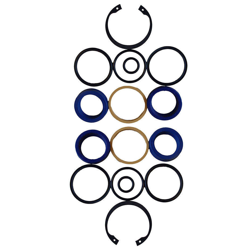 Fits John Deere 44 LOADER LIFT OR TILT Two Cylinder Seal Kit PT5252 AM118390