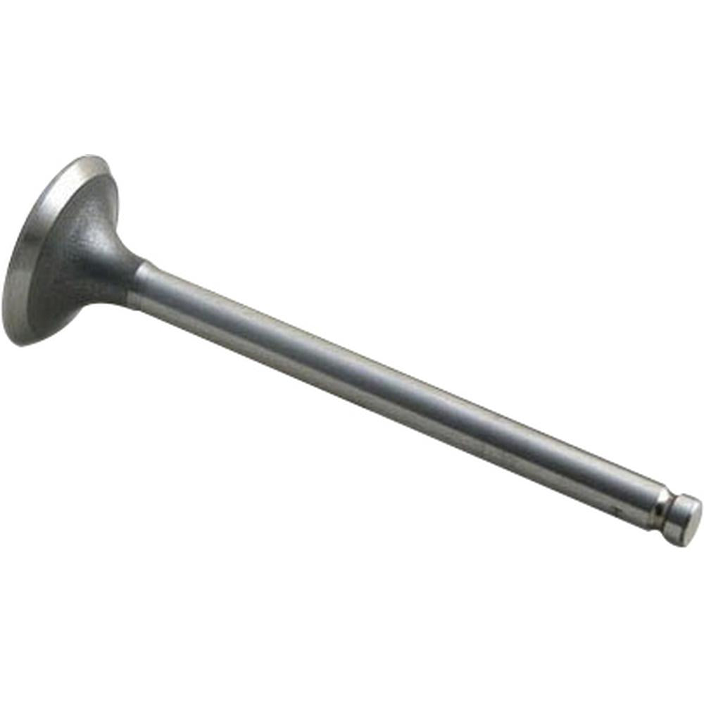 AM31431281 Intake Valve