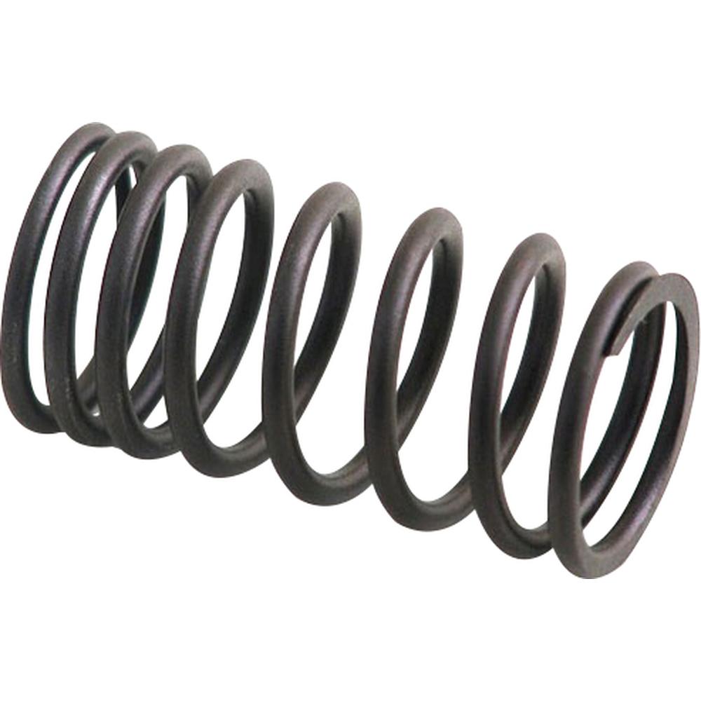 AM31744131 Inner Valve Spring