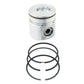 AM3932514 Piston And Rings, Standard