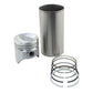 AM395354R93 Cylinder Kit