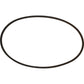 AM71311927 Belt - Alternator, Standard