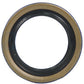 Hydraulic Pump Shaft Seal Fits Hesston Replaces 744268