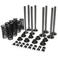 Valve kit - Fits Case-IH - BD154VALVESET