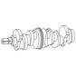C5NE6303K Crankshaft Fits Ford New Holland 5100 5200 5600 5610 5700 6000 6610