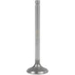 Intake Valve Fits Ford/New Holland Replaces 87800344