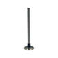 CKS5277-STR Exhaust Valve Fits Case VA VAC VAC-11 VAC-12 VAC-13 VAC-14 VAH VAIW