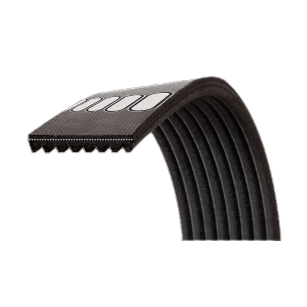 AM246978 Belt - Main Drive, Power Band/Mainshaft Drive