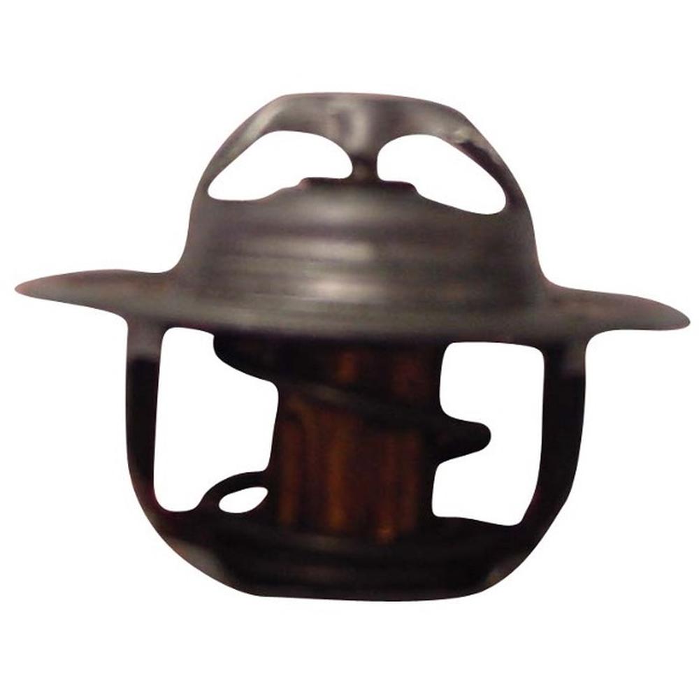 Thermostat, 1446127M91 Fits Landini