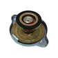 RW0021-14 Radiator Cap - 17 Lb (PSI) Fits 1 Inch Deep Neck