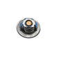 168 Degree Thermostat Fits Massey Ferguson Replaces 1853313M91