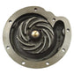 Water Pump 3132676R93 Fits Case IH 2756 2826 3088 3288 666 686 706 715 756 786