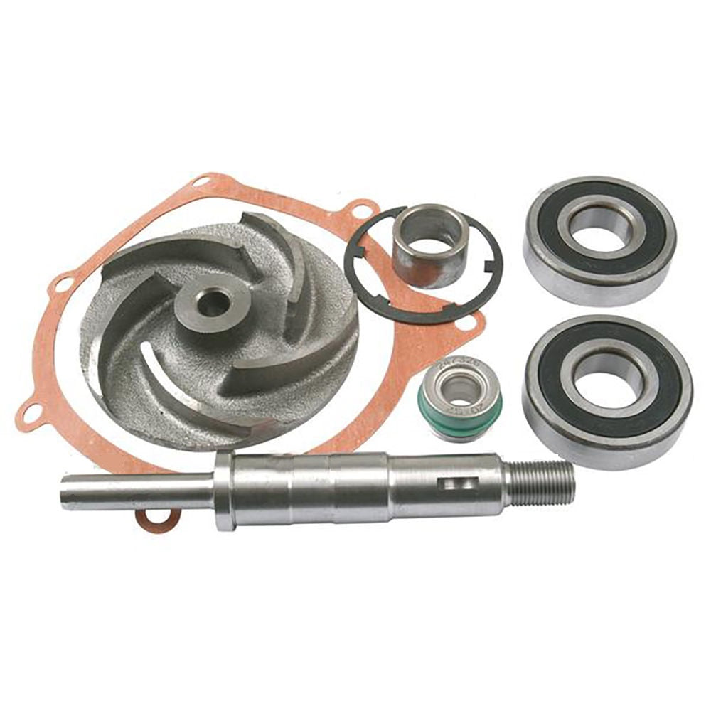 3641379M91 Repair Kit w/ Pump Fits Massey Ferguson Tractors 2640 399 747771M91