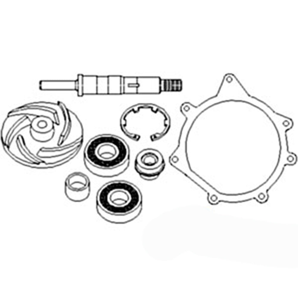 3641379M91 Repair Kit w/ Pump Fits Massey Ferguson Tractors 2640 399 747771M91