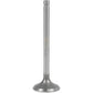 Intake Valve Std - Fits Ford - D3NN6507A