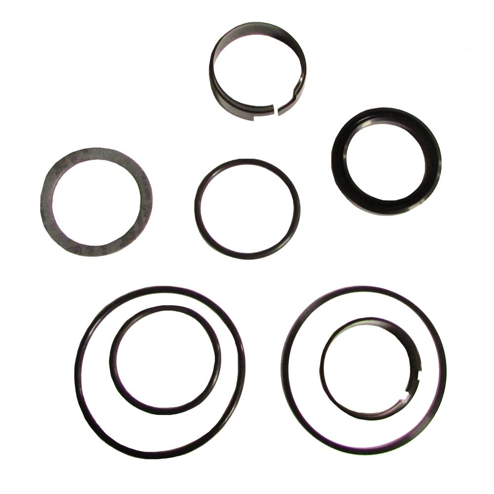 LOADER LIFT HYDRAULIC CYLINDER SEAL KIT Fits Case 310G CRAWLER 350 430 450 530